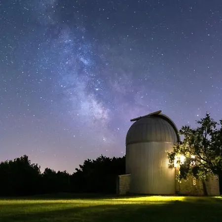 Villa Olea - Cvitani By Guide