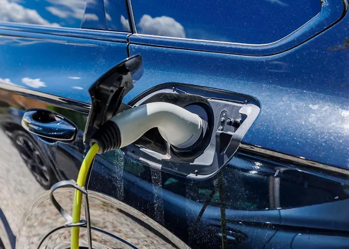 Olea - Cvitani By Guide Vila